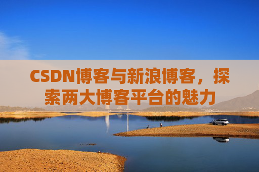 CSDN博客与新浪博客，探索两大博客平台的魅力